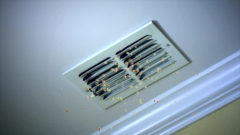 Best HVAC System Cleaning  in Alamo, GA