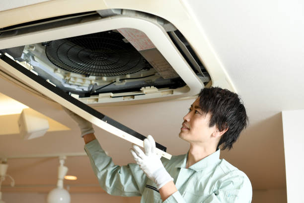 Best Home Air Vent Cleaning  in Alamo, GA
